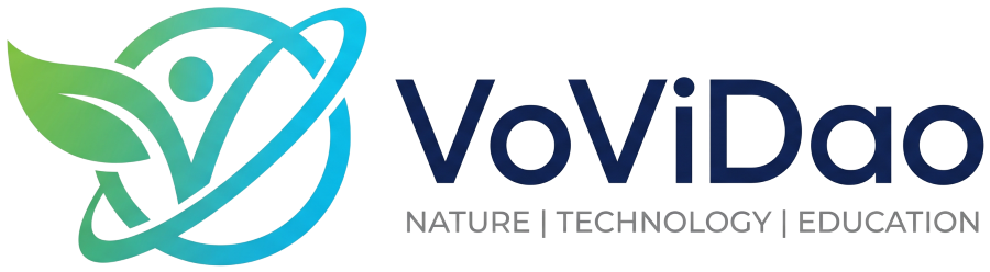 VoViDao